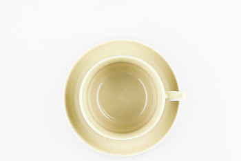 Чашка с блюдцем чайная ф. Браво рис. Акварель (бежевый)