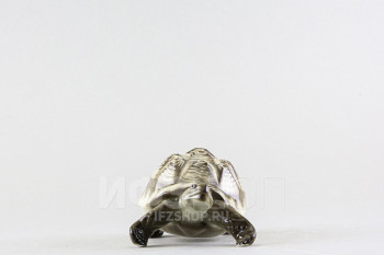 Черепаха Светлый панцирь (высота 6.4 см)