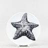 Тарелка плоская 20 см ф. Универсал рис. Starfish / Морская звезда