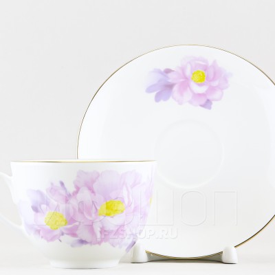 Чашка с блюдцем чайная ф. Весенняя-2 рис. Нежный пион (сиреневый, с упаковкой)