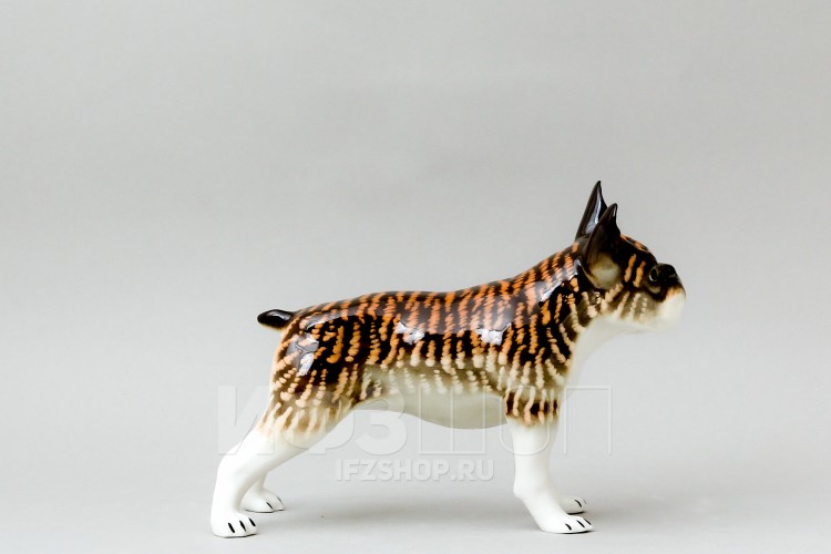 Французский бульдог (высота 13.1 см) в Москве