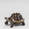 Черепаха Темный панцирь (высота 6.4 см)