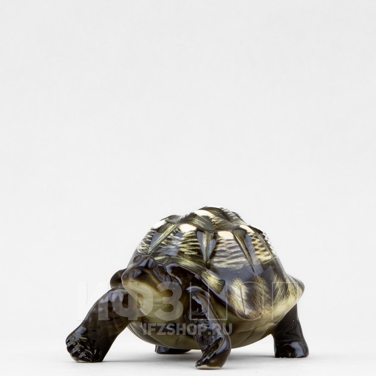 Черепаха Темный панцирь (высота 6.4 см) в Москве