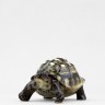 Черепаха Темный панцирь (высота 6.4 см) в Москве