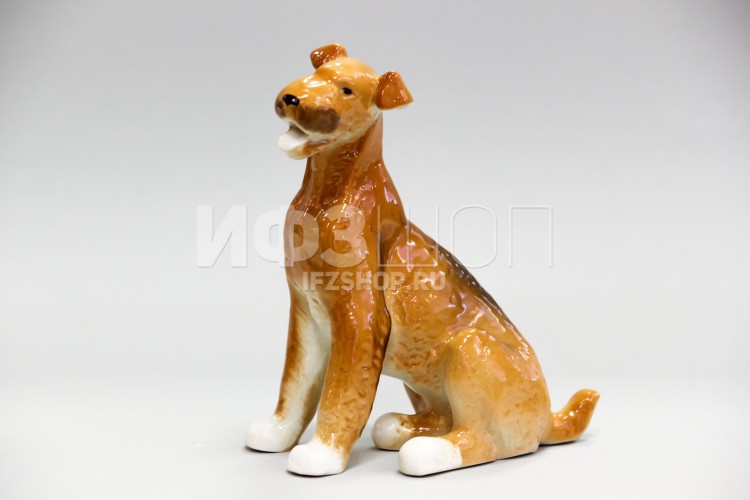 Эрдель сидит (высота 17.4 см) в Москве