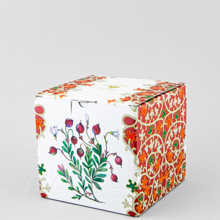 Чашка с блюдцем чайная ф. Соло рис. Облепиха сибирская в Москве