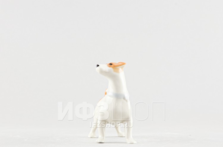 Джек-рассел-терьер Чарлик (высота 7.8 см, несортный) 