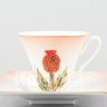 Чашка с блюдцем чайная ф. Петрополь рис. Репейник