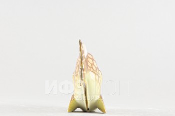 Рыба-бабочка м.р. Желтая (высота 8.6 см, несортная)