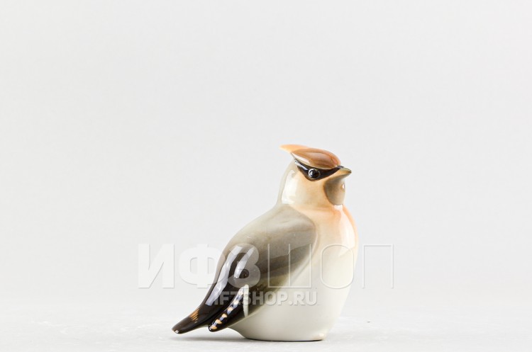 Свиристель (высота 10.1 см, несортная) 