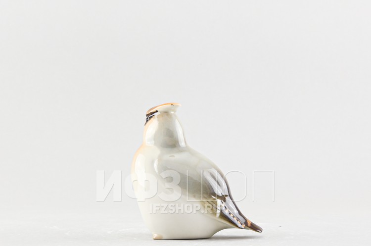 Свиристель (высота 10.1 см, несортная) 