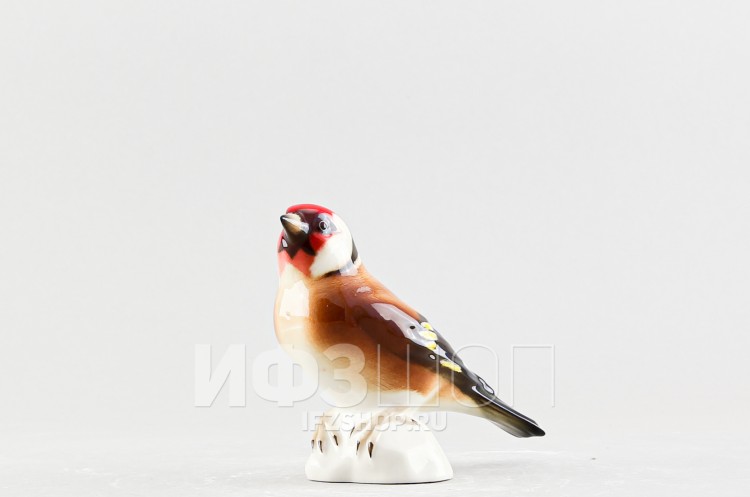 Щегол Черноголовый (высота 9 см, несортный) 