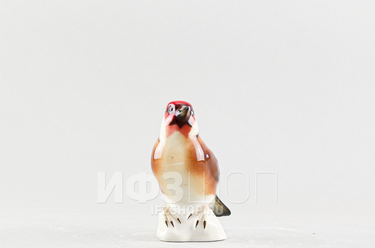 Щегол Черноголовый (высота 9 см, несортный) 