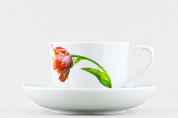 Чашка с блюдцем чайная ф. Тюльпан рис. Тюльпан
