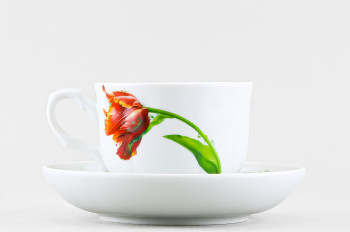 Чашка с блюдцем чайная ф. Тюльпан рис. Тюльпан