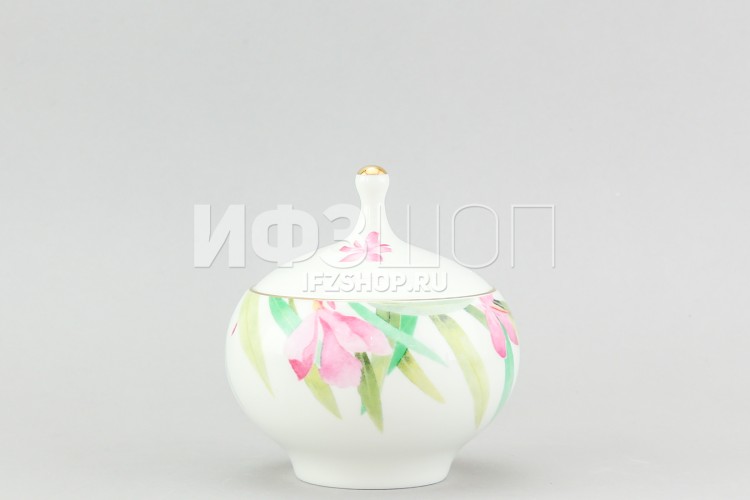 Сервиз чайный ф. Яблочко рис. Акварель, 20 предметов 