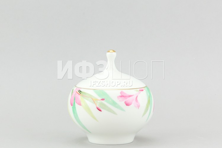 Сервиз чайный ф. Яблочко рис. Акварель, 20 предметов 