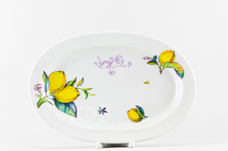 Блюдо овальное 28 х 20 см ф. Молодежная рис. Лимоны в Ростове-на-Дону
