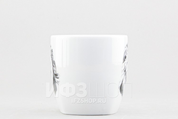 Кружка ф. Квадро рис. Лев 