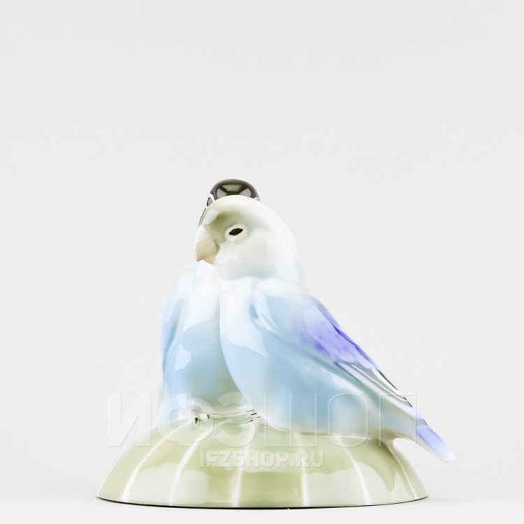 Неразлучники лазурные (высота 13.4 см) в Пензе