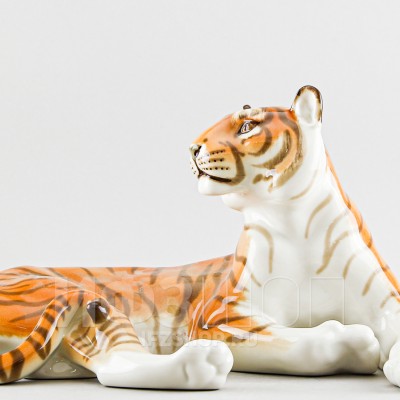 Тигр б.р. Цезарь (несортный, высота 16.2 см)