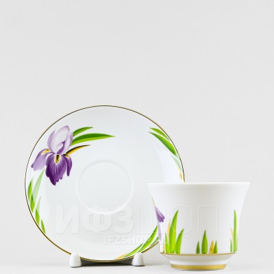 Чашка с блюдцем чайная ф. Банкетная рис. Ирисы