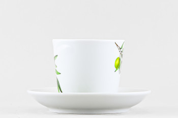 Чашка с блюдцем чайная ф. Голубка рис. Ветка оливы