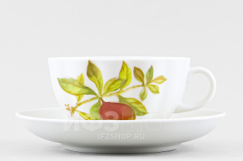 Чашка с блюдцем чайная ф. Тюльпан рис. Гранаты (микс)