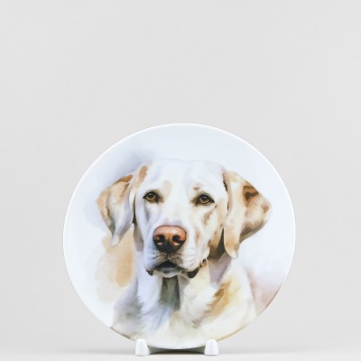 Тарелка плоская 20 см ф. Универсал рис. Мой питомец. Арчи