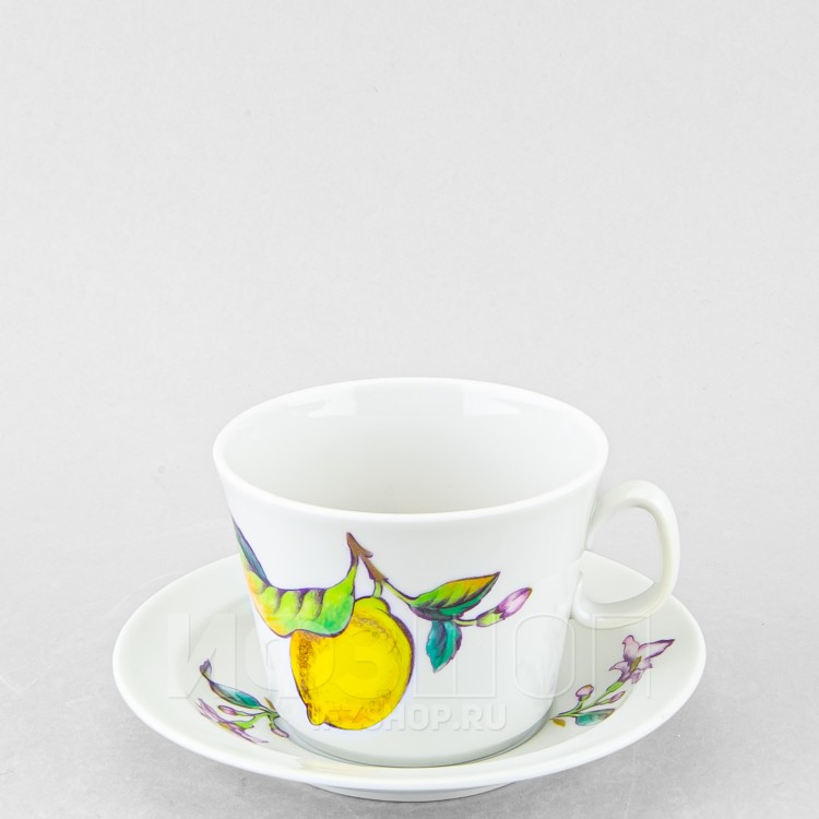 Чашка с блюдцем чайная ф. Молодежная рис. Лимоны (микс) в Москве