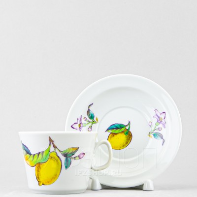 Чашка с блюдцем чайная ф. Молодежная рис. Лимоны (микс)