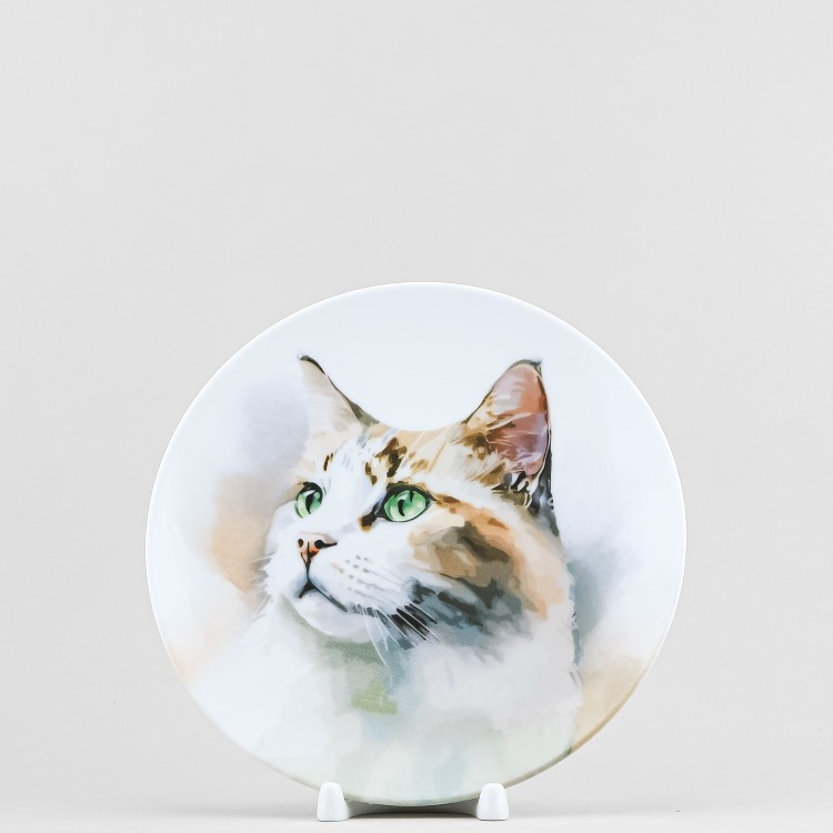 Тарелка плоская 20 см ф. Универсал рис. Мой питомец. Муся в Москве