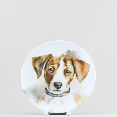 Тарелка плоская 20 см ф. Универсал рис. Мой питомец. Чак