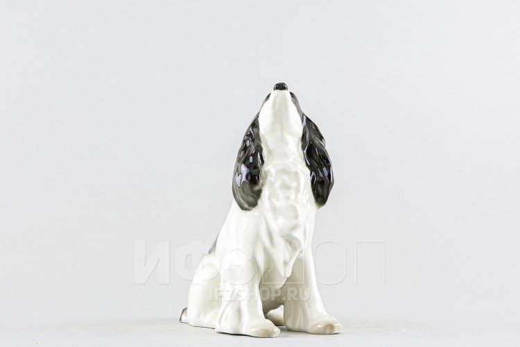 Спаниэль (высота 14.1 см) в Москве