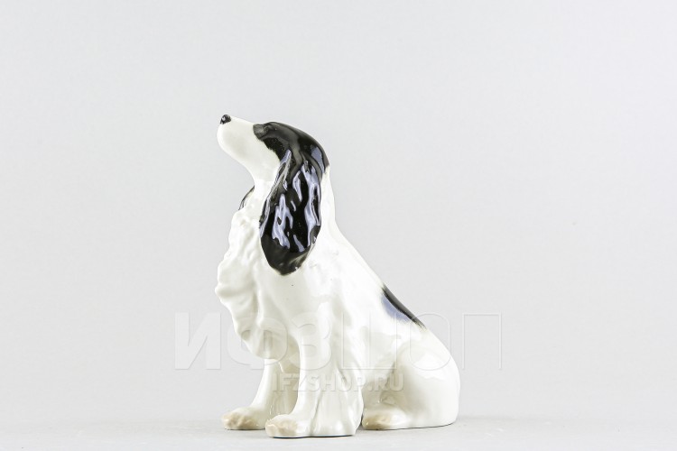 Спаниэль (высота 14.1 см) в Москве