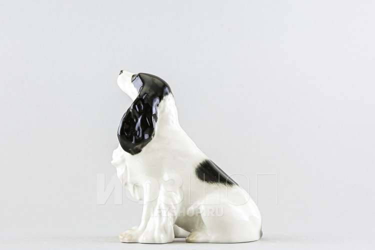 Спаниэль (высота 14.1 см) в Москве