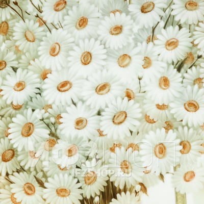 Блюдо декоративное 45 см рис. Ромашки