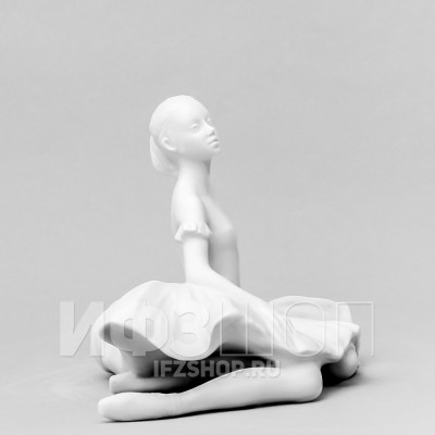 В пачке (высота 12.5 см)