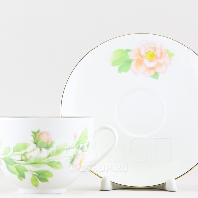 Чашка с блюдцем чайная ф. Весенняя-2 рис. Нежный пион (зеленый, с упаковкой)
