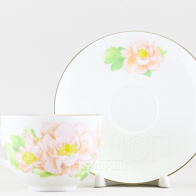 Чашка с блюдцем чайная ф. Весенняя-2 рис. Нежный пион (зеленый, с упаковкой)