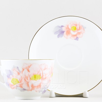 Чашка с блюдцем чайная ф. Весенняя-2 рис. Нежный пион (серый, с упаковкой)